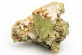 Lustrous, Yellow Apatite Crystals With Feldspar - Morocco #221045-2
